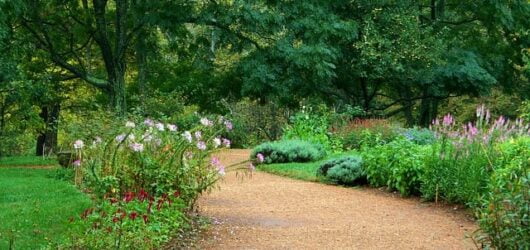 Pea Gravel Patios: Stylish Upgrade or Maintenance Nightmare?