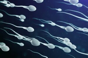 Pros and Cons of Sperm Retention