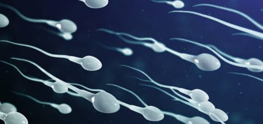 Sperm Retention: Health Benefits or Myths Debunked?