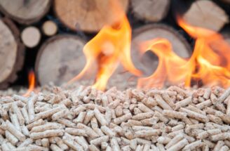 Biomass Energy: A Sustainable Solution or Hidden Risk?